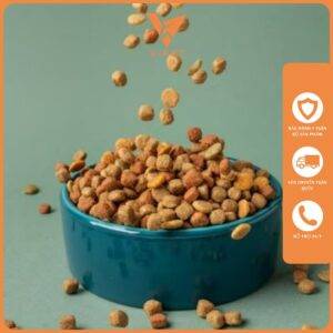 Thức ăn hạt cho chó mèo được làm từ các nguyên liệu chính như thịt, cá, ngũ cốc, rau củ quả, vitamin và khoáng chất.