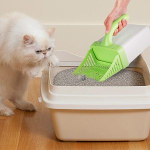 Các loại cát vệ sinh cho mèo tốt nhất