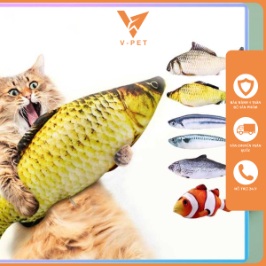 chăm sóc thú cưng tại nhà cho mèo bằng cá catnip