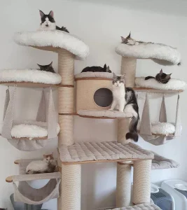 Nhà cây cho mèo
