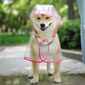 áo mưa quần áo dành cho thú cưng