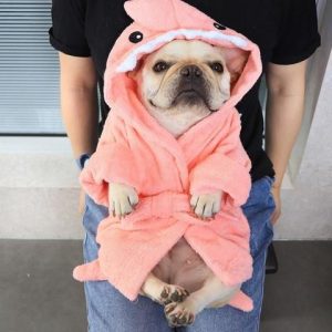 quần áo thú cưng giúp giữ ấm